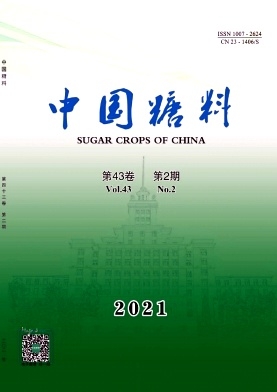 中国糖料